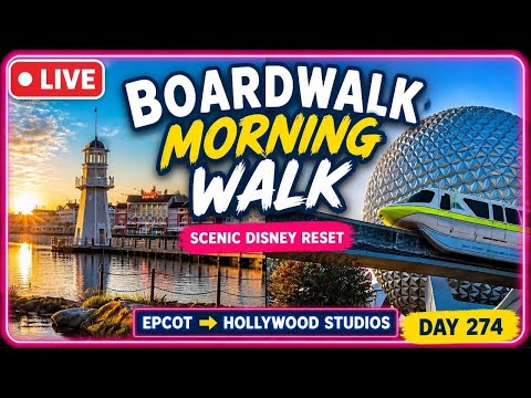 Live webcam of The Disney With Sean Show