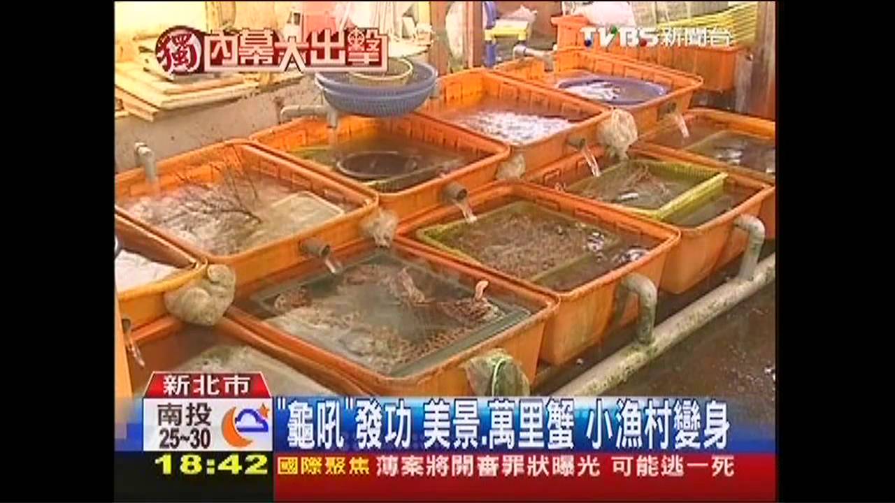 〈獨家〉「龜吼」發功美景、萬里蟹 小漁村變身