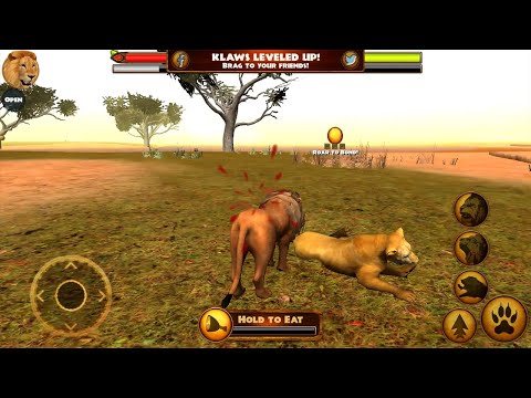 Ultimate Lion Simulator (By Gluten Free Games LLC) Android Gameplay #2 - YouTube