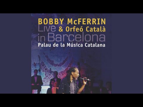 Improvisació 7 (Live)