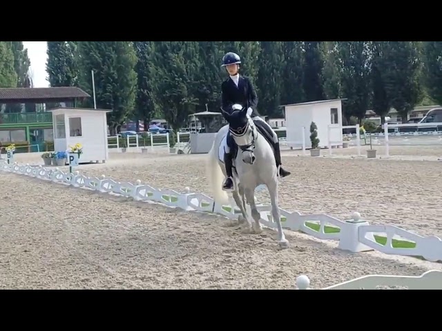 ULIOR DE BELEBAT Pony FEI