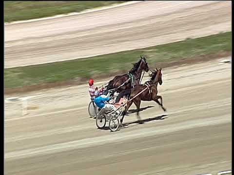 Trotto 12/05/2019 - prova di qualifica