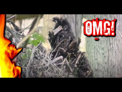 Sasquatch Blue Hole Extra / Spot n’ Zoom / NJ / 7.3.22