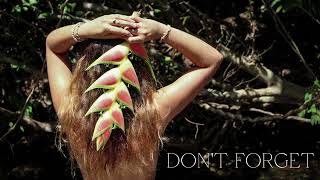 Don&#39;t Forget (Hindi Zahra)- Libi
