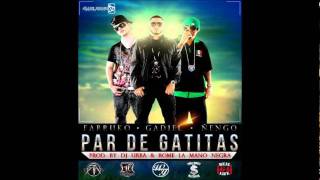 Par de Gatitas -  Gadiel Ft. Ñengo Flow &  Farruko (Remix)