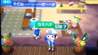 【とび森】オン島でup主さんと金くれするクソガキ女に遭遇！