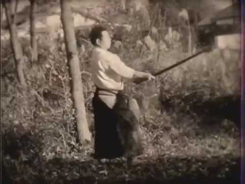 Aikido in Iwama's outdoor dojo