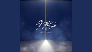 Download lagu TOP (Japanese Version) mp3