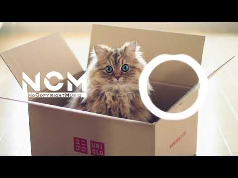35 Seconds of Cat Shat in the Box - Josh Pan