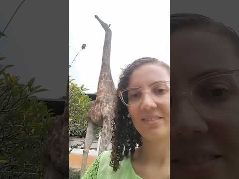 Recreio Minas Gerais tem uma estátua de girafa 🦒