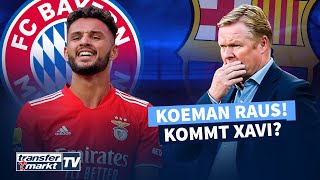 Bayern an Benfica-Talent Ramos dran - Koeman bei Barça entlassen | TRANSFERMARKT