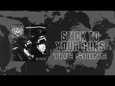 Video thumbnail for The Shine