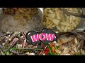 Tni Ag Muya Moi Sng Mani Mira Debbarma Vlog