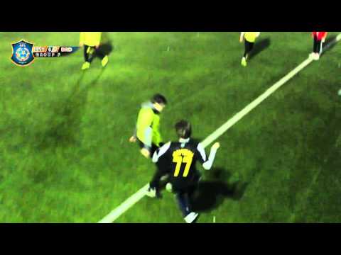 everton   borussia d