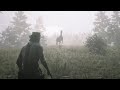 RDR2: Epilogue. Part II: Beecher's Hope - 9