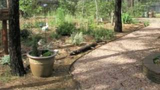 Gentle on my Mind   -Glen Campbell