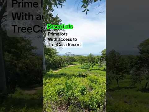 Ocean View Lots at El Encanto del Sur | TreeCasa Resort Access | Nicaragua