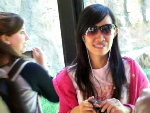 IELSP still in the zoo Arizona