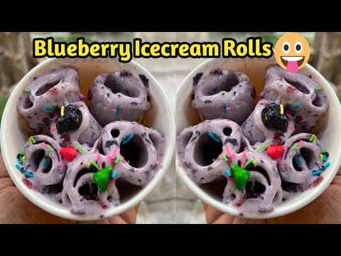 Esi Unique Ice Cream Apne Kabhi nahi khayi hogi 😍 || Blueberry (Niladri) Ice Cream