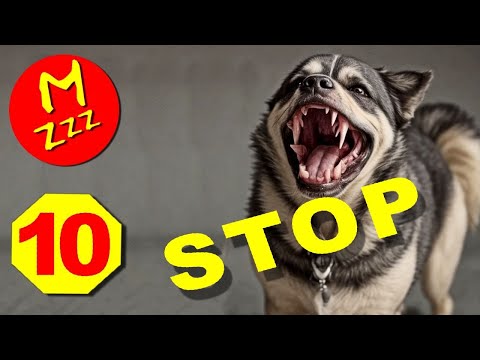 Stop Dogs Barking with Ultra High Pitch Dog Whistle