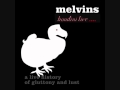 The Melvins - Teet Live