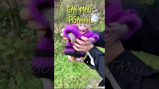Download lagu Anak Monyet Menangis #kebonbinatang #anakmonyetlucu #monkey #Shorts mp3 Download lagu Anak Monyet Menangis #kebonbinatang #anakmonyetlucu #monkey #Shorts mp3