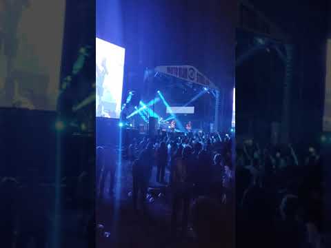 Dr.Nele Karajlić-Tri ratna havera