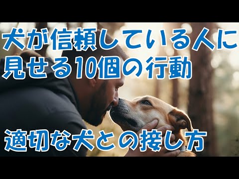 私の犬は多くの注意を要求しますが、これは正常ですか?