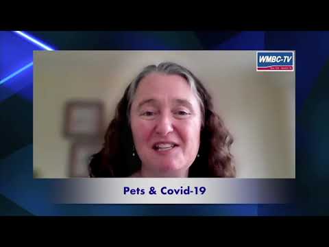 St. Hurbert’s Animal Shelter