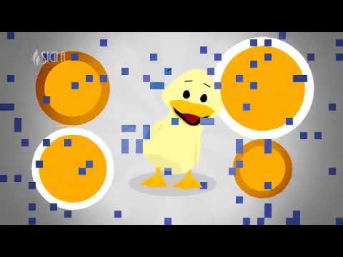 Bento e Totó   O Patinho Colorido Desenho Infanti360P