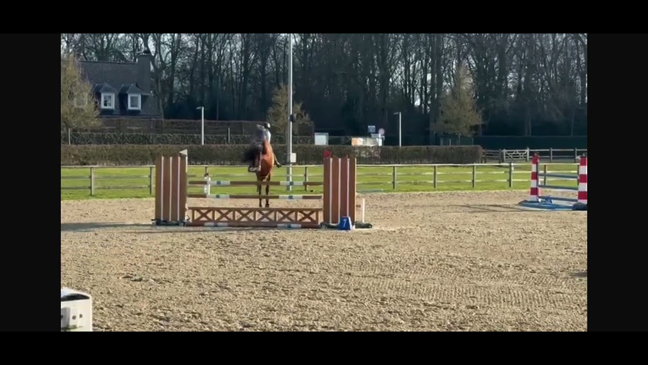 Kocaine Saveniere (CORICO Z x CANTUS) video 3
