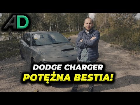 download lagu mp3 mp4 Dodge Charger 1969 Na Sprzeda, download lagu Dodge Charger 1969 Na Sprzeda gratis, unduh video klip Dodge Charger 1969 Na Sprzeda