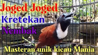 Download lagu Tepus leher putih nembak nembak Gacor ‼ mp3 Download lagu Tepus leher putih nembak nembak Gacor ‼ mp3