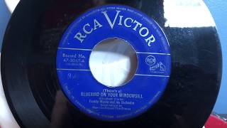 Freddy Martin and his Orchestra - (There&#39;s a) BLUEBIRD ON YOUR WINDOWSILL (1949)
