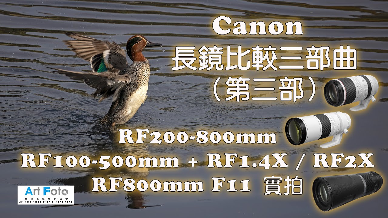 【攝影教學/器材速遞 #378】Canon 長鏡比較三部曲（第三部）- RF200-800mm, RF100-500mm + RF1.4X 及 RF2X, RF800mm F11 (CC 中文字幕)