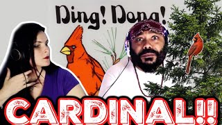 Sufjan Stevens  O Come O Come Emmanuel *REACTION!!*