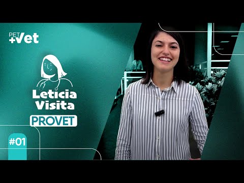 Conhecendo o Provet - Leticia Visita #1