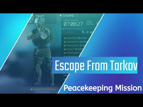 Peacekeeping Mission Task - Escape from Tarkov