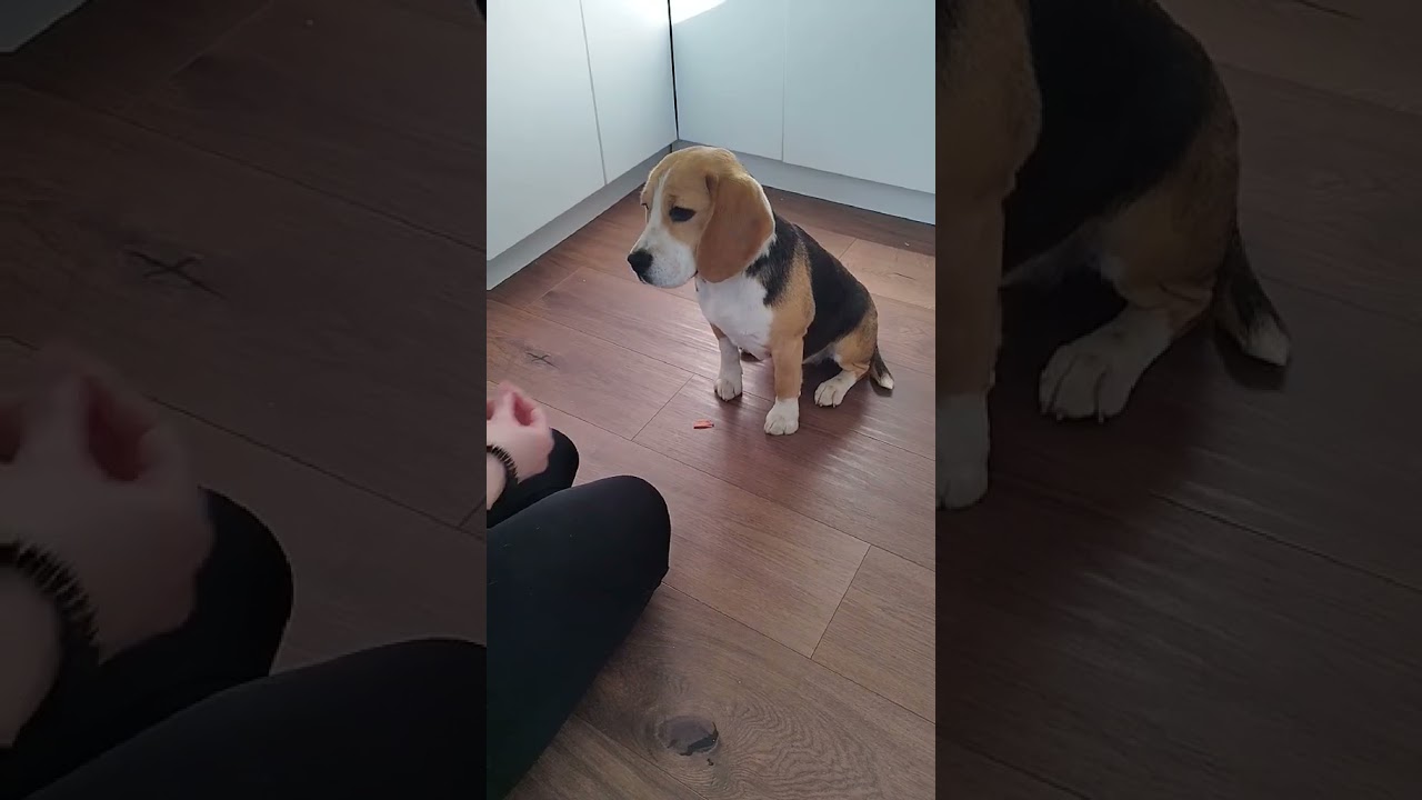 Sweet Fable Alice Trükkök