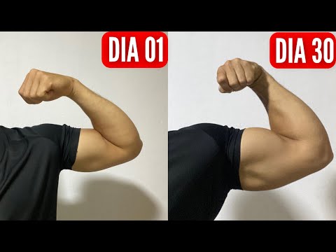 Braços Grandes em 4 SEMANAS ! ( Exercícios Caseiros )