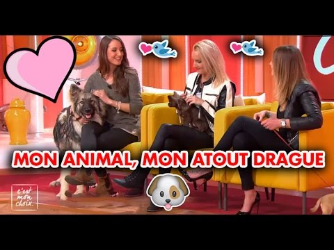 download lagu mp3 mp4 Mon Animal Est Possible, download mp3 Mon Animal Est Possible free downloadn, video klip Mon Animal Est Possible
