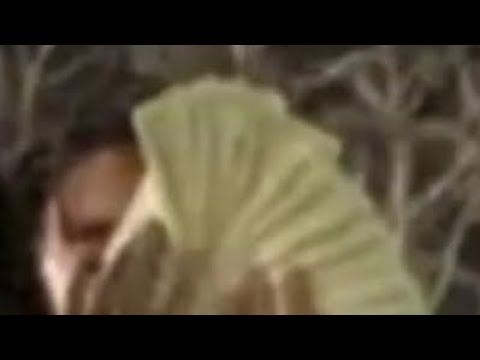 Draybo- LIFE (Official audio)