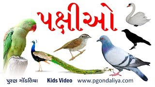 પક્ષીઓના નામ | Birds Name in Gujarati | K.G.| Kids Video by Puran Gondaliya