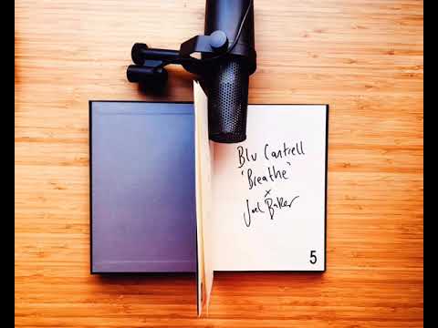 Blu Cantrell "Breathe" (Joel Baker Cover)
