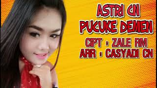 Download lagu ASTRI CN - PUCUKE DEMEN mp3