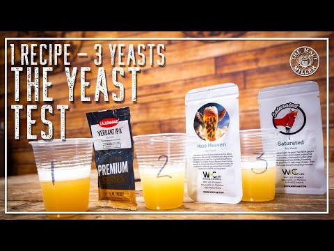 SAME BEER, DIFFERENT YEAST – THE SURPRISING RESULTS | THE MALT MILLER
