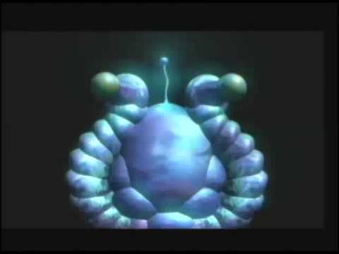 Televoid