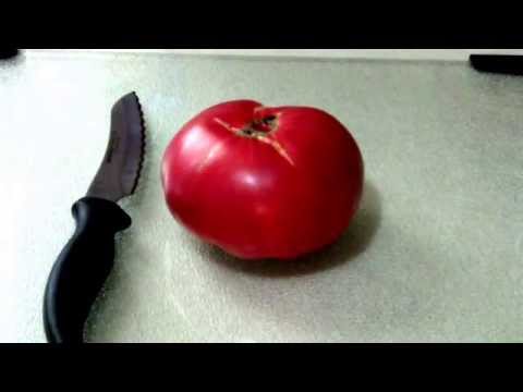 download lagu mp3 mp4 Prudens Purple Tomato Seeds, download lagu Prudens Purple Tomato Seeds gratis, unduh video klip Prudens Purple Tomato Seeds