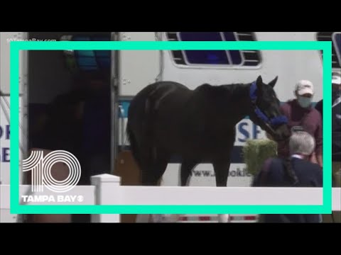 Medina Spirit disqualified as 2021 Kentucky Derby winner