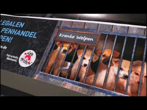 Vutek 3360 EC P240424097